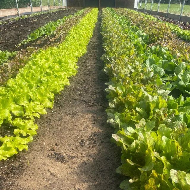 Hole in the Woods Farm