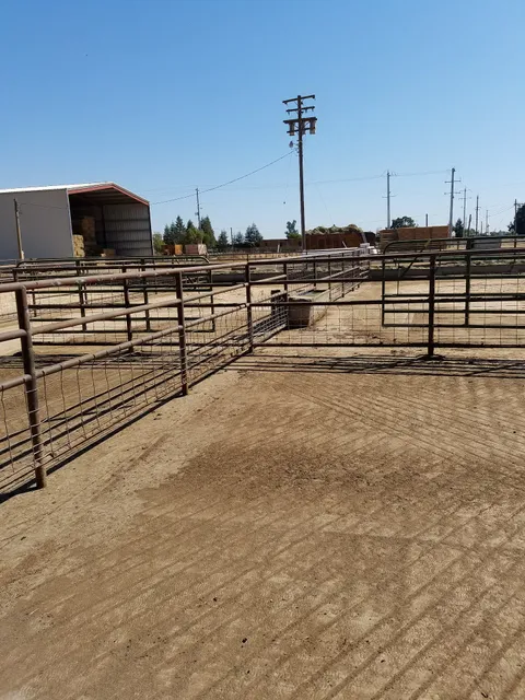 Cattlemen's Livestock Market