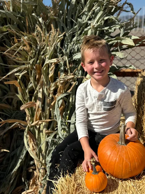 Spooky's Pumpkin Patch