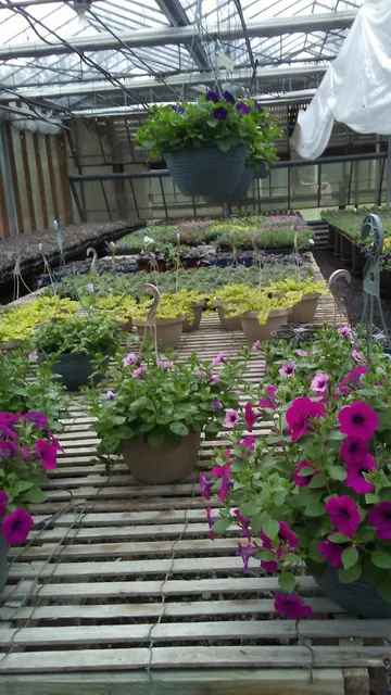 Weingartner Greenhouse