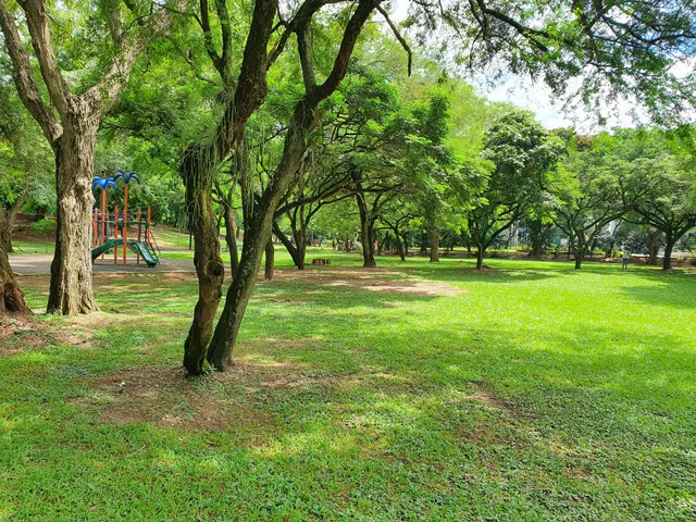 Parqueo De Parque Los Mangales