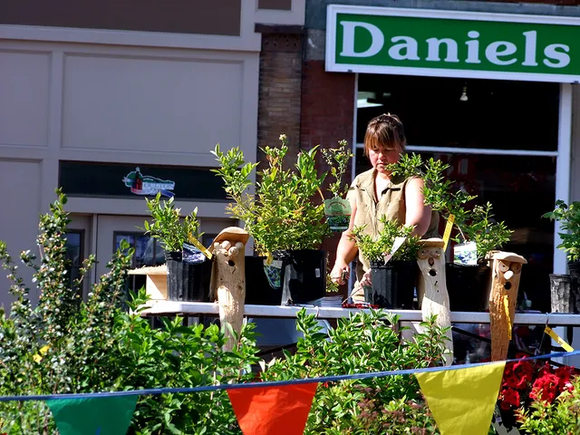 Houlton Community Farmers' Market