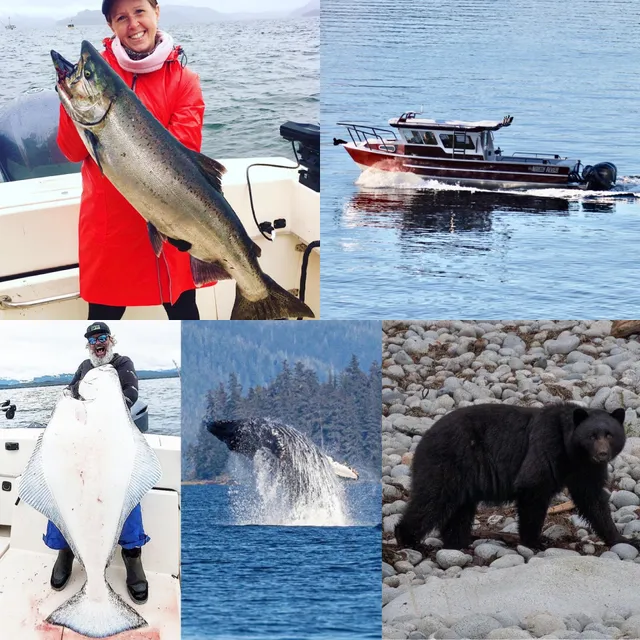Reel Alaska Fishing Charters