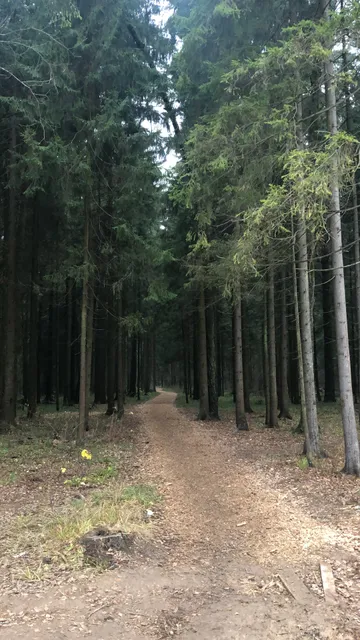 Gosudarstvennyy Lesnoy Zapovednik