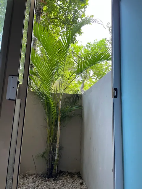 Agua de Mar Aldea Zama