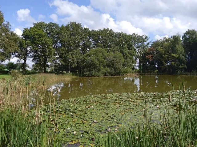 Les P'tites Résidences de la Fontaine