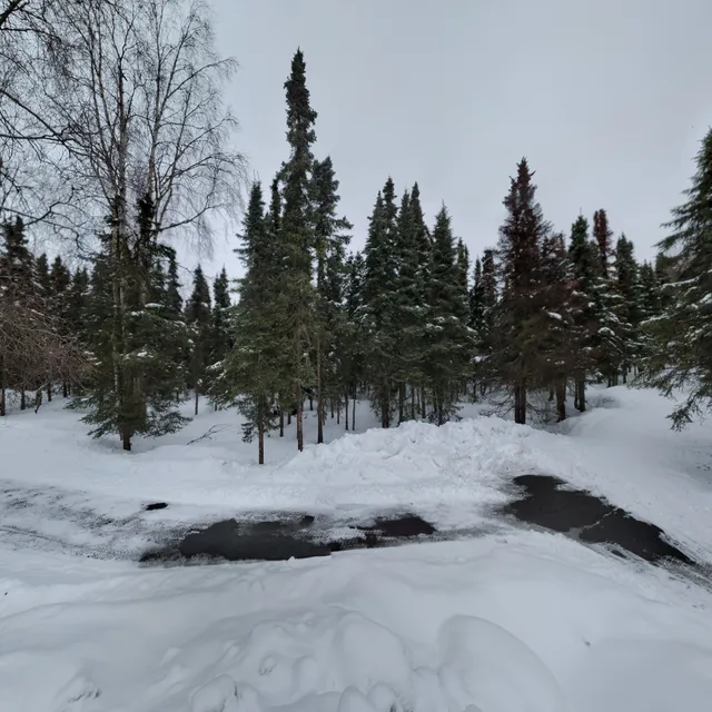 UAA Planetarium and Visualization Theater