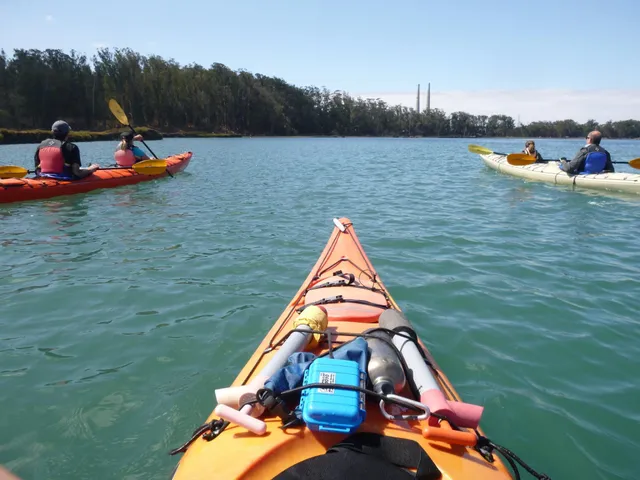 Kayak Connection