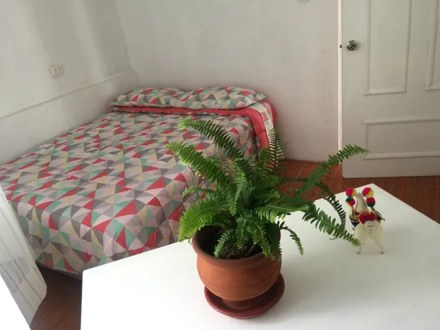 Friendly House Libertad