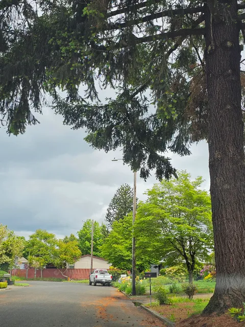 Friends of Powell Butte Nature Park