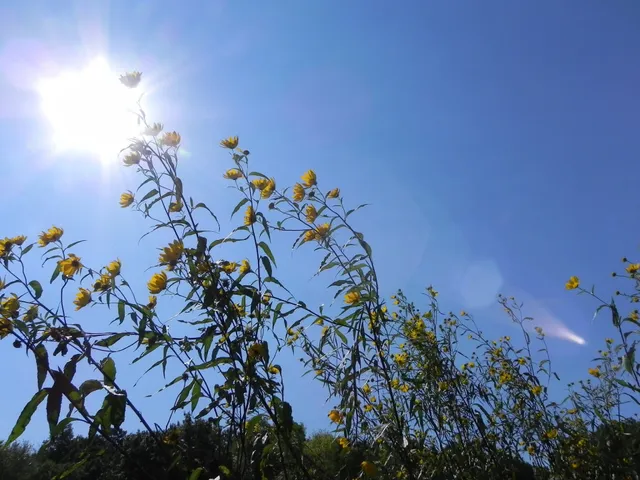 Rice Lake State Park