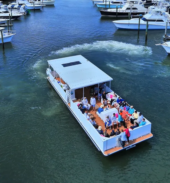 Charleston Party Cat Boat Charter #1