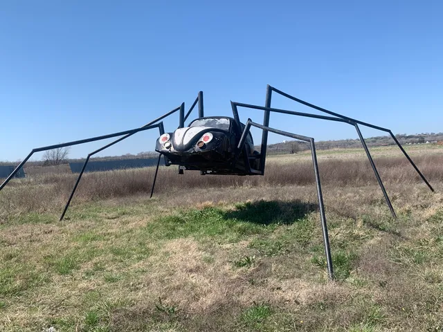 Spider Bug
