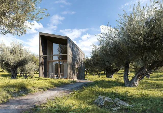 Prosilio Olive Tree Houses