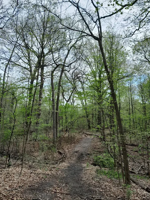 Joe Prance Recreation Area (Nature Trail, playground, picnic)