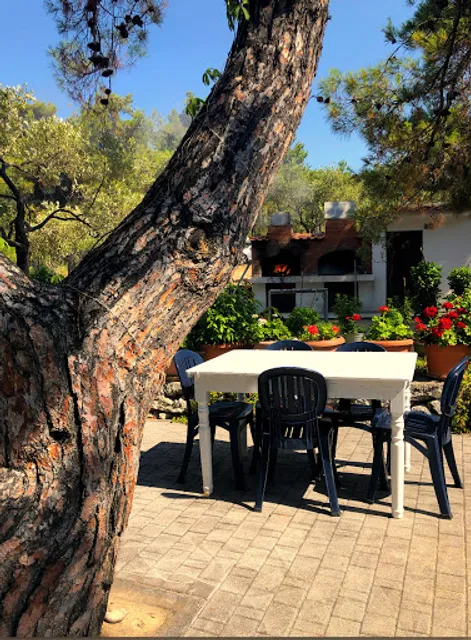 Skidia Traditional Tavern "Σκίδια" Κεκές παραδοσιακή ταβέρνα - ουζερί