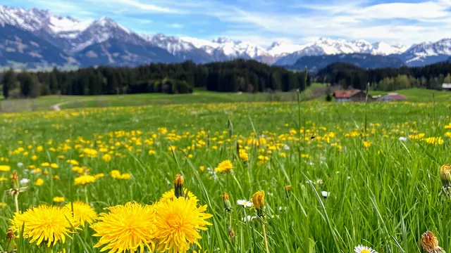 Hörnerdörfer im Allgäu
