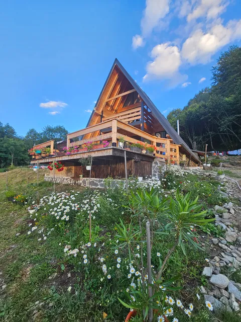 Carpatian Log Cabin Dragoslavele