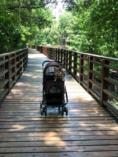 ที่พักระยองติดทะเล RAYONGSEA Room