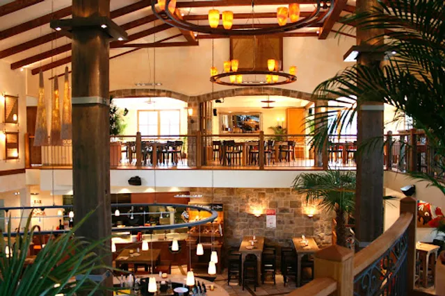 Finca & Bar Celona Essen Steele