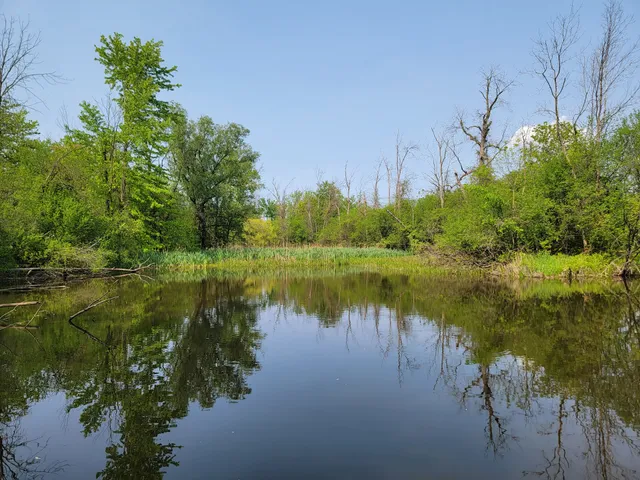 Genesee Valley Greenway State Park - Little Black Creek