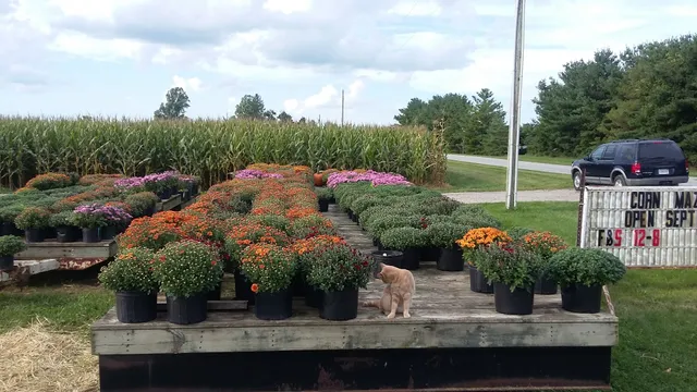 Fishburn's Farm Market