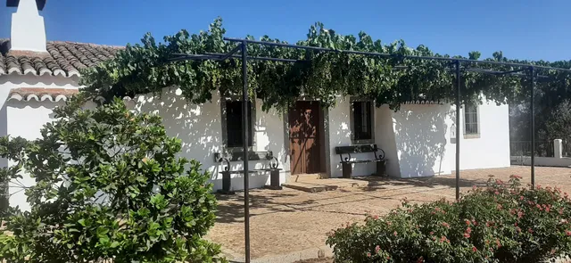 Vivienda Turística Alojamiento Rural "El Jaral"