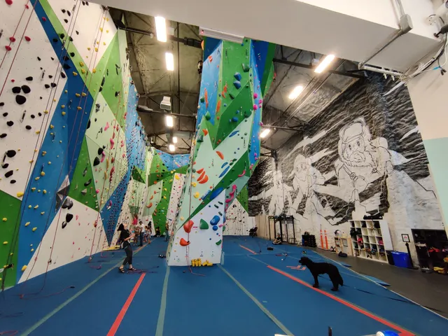 Basecamp Climbing Bloor West