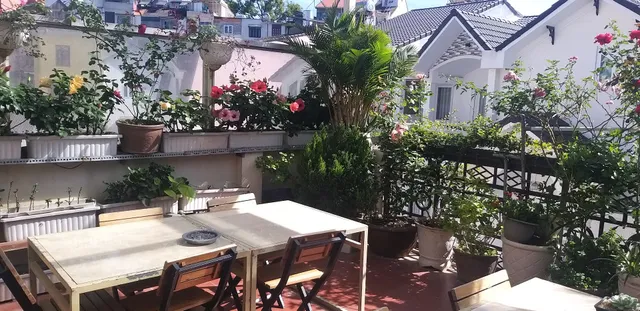 Pretty Backpackers House