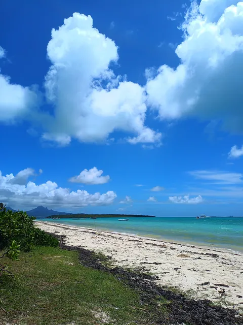 Pedestrian Access to the Beach