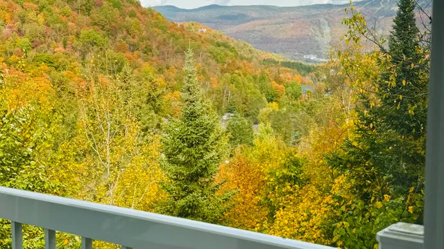 TREMBLANT VACATION RENTALS