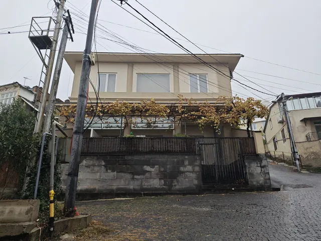 Ioseb Grishashvili Museum