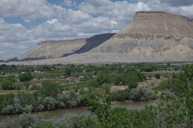 High Country Orchards Palisade Peaches