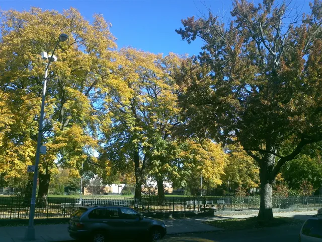 Herbert Von King Cultural Arts Center