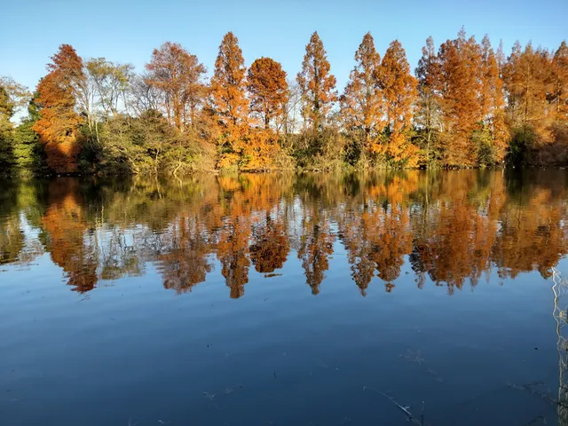 Kashiwa Village Daigo Park