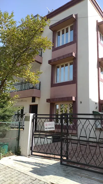 maple tree hospitality