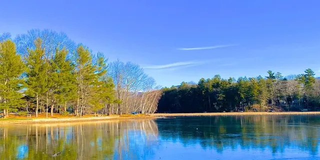 photo-1