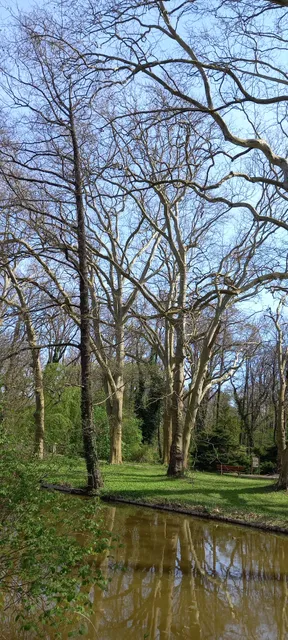 photo-1