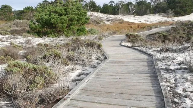 Promenade in den Dünen