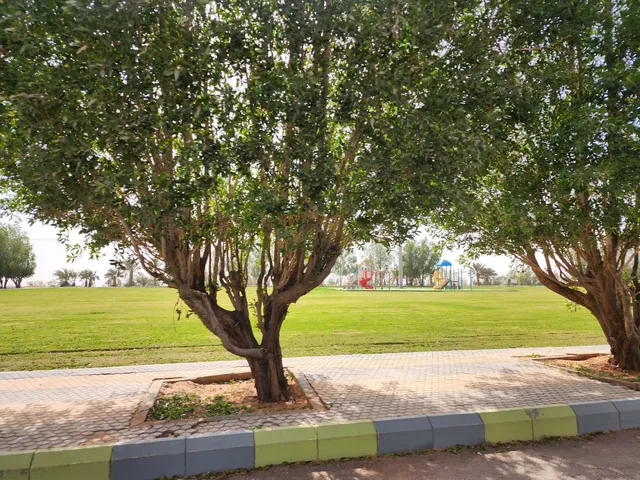 place image