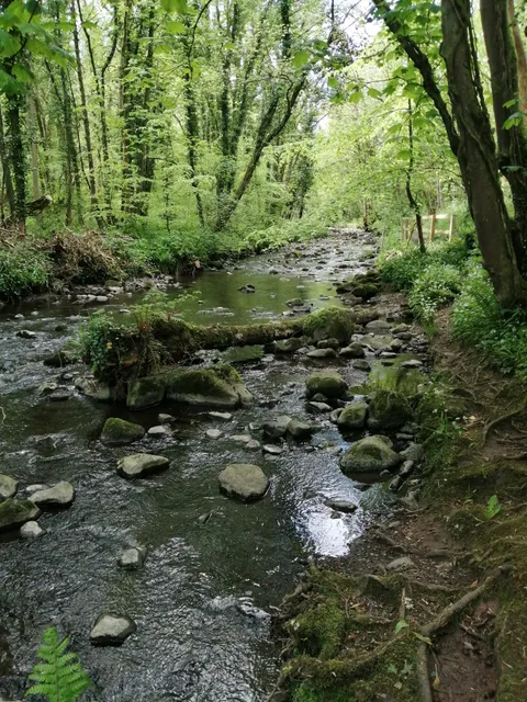 Colin Glen Forest Park