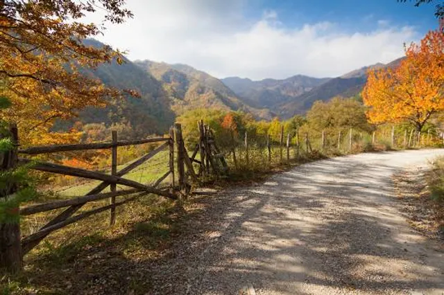 Parque nacional de Foreste Casentinesi, Monte Falterona y Campigna