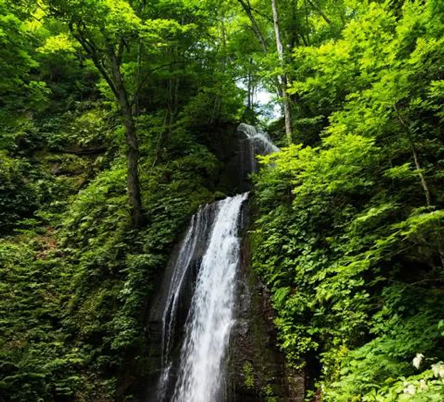 Wilson Dam Waterfall