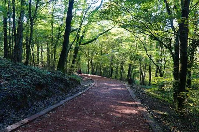photo-3