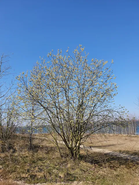 ARTAe Galerie und Kunstvermittlung