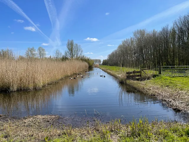 Vogelplas Starrevaart