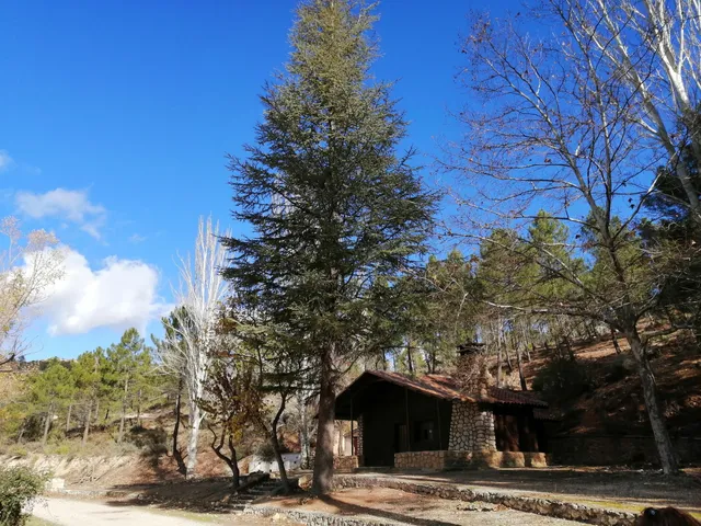 Molino de las Fuentes, Nerpio