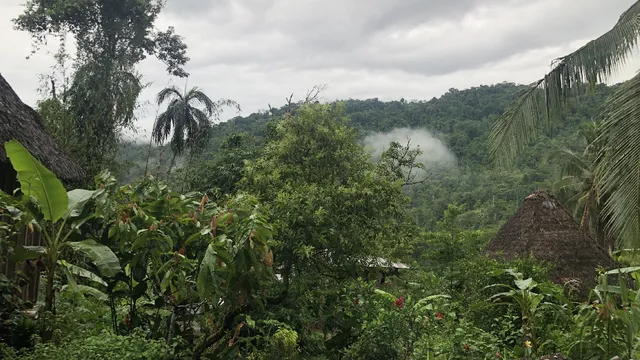 oreba chocolate tour