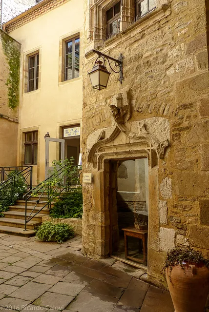 Musée d'Art Moderne et Contemporain