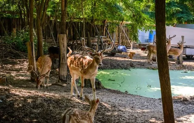 Satmaliya deer park